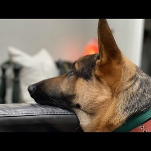 Meet your Posher, Natalia